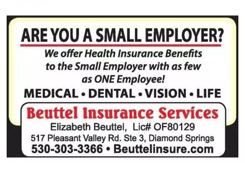 Health Insurance - Small Business Owners